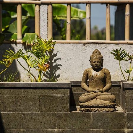 Cat Cow Yoga Villa Canggu  Exterior photo