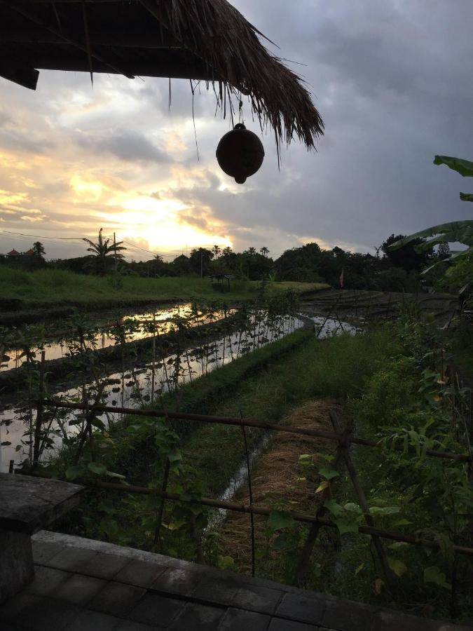 Cat Cow Yoga Villa Canggu  Exterior photo